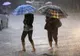 Informare meteo! Vremea se răceşte şi va ploua abundent