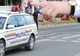 Preţul poliţelor RCA a scăzut substanţial în prima parte a anului