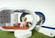 Cea mai tare cuşcă pentru câini! Samsung Dream Doghouse