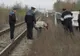 Sinucidere şocantă la Cluj. Un bărbat s-a aruncat în fața trenului