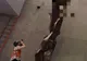 Apariţie misterioasă la New York, în locul unde au căzut turnurile World Trade Center 