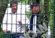Imagini uluitoare cu Traian Băsescu, surprins în Herăstrău. Cu cine s-a întâlnit fostul președinte 