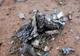 Mister dezlegat în cazul prăbușirii avionului Air Algerie de anul trecut