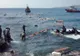 Dezastrul din Mediterană: 800 de morţi. Căpitanul şi alte două persoane au fost arestate 