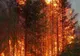 Anunț de ultimă oră al oficialilor ucraineni despre incendiul de lângă Cernobâl