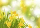 FLORII. 10 superstitii de Florii şi semnificaţia lor