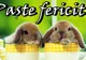 Mesaje de Paște haioase. Cele mai amuzante urări de Paște 2015