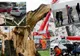 Cel puțin nouă morți în Europa Centrală la trecerea furtunii Niklas 