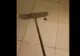 A încercat să omoare un păianjen cu o mătură, dar au urmat momente de groază 
