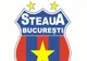 Echipa lui Gigi Becali pierde definitiv marca Steaua Bucureşti 