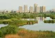 "Delta" Văcăreşti, mai aproape de statutul de parc natural. Ce au decis consilieri municipali