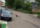 Scenă de coşmar într-un cartier central din Cluj. Toţi cei care au văzut-o, revoltaţi