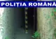 Harghitean cercetat pentru braconaj, după ce a ucis un căprior