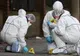 Crima care a îngrozit Banatul! Ce s-a întâmplat cu cadavrul fără cap, mâini şi picioare
