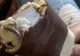A vrut să guste o îngheţată, dar când a văzut ce conţine, i-a pierit pofta instant
