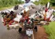 Ei au arătat că pot transporta aproape orice cu motocicleta! Râzi cu lacrimi 