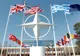Logoul realizat de un român ar putea deveni emblema noului sediu NATO 
