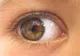 Ai probleme cu vederea? Iată remediul care reduce dioptriile şi regenerează ţesutul ocular!