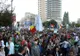 Mii de oameni au ieşit în stradă, în toată ţara, contra defrişărilor pădurilor