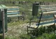 Descoperire şocantă într-un parc din Brăila 
