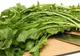 Salata de păpădie, beneficii miraculoase pentru sănătate. Cum se prepară