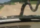 Se afla la volanul mașinii atunci când un șarpe i-a apărut pe parbriz. Ce a urmat