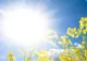 Vreme destul de caldă! Prognoza meteo pe trei zile 