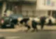 Apariţie ieşită din comun pe o stradă intens circulată din Iaşi. Trecătorii, înmărmuriţi!