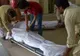 Bilanţ tragic în Pakistan! Peste 1.000 de persoane au murit din cauza caniculei