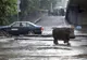 Mai multe animale au evadat dintr-o grădină zoologică. Locuitorii, avertizaţi să nu iasă din case
