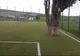 Ca la noi la „nimenea”! De ce a lăsat primarul un... copac pe terenul de fotbal