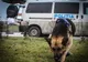 Unde a fost găsit un copil de doi ani şi opt luni din Buzău, care a fugit de acasă