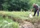 Disperare într-o comună din România. Oamenii se plâng că le mor animalele din cauza apei infestate 