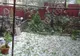 Informare meteo de vreme rea. Grindină cât oul de găină la Reşiţa, după o furtună