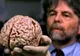 Creierul uman îmbătrâneşte cu opt ani după un accident vascular cerebral