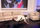 Moment penibil! What's up a căzut în direct: "Prezentatorul emisiunii s-a panicat: "Esti bine?"