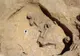 Mormântul misterios al unei "Frumoase Adormite", descoperit după 2.000 de ani