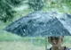Prognoza meteo 26 iunie. Se anunță vreme rea