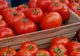 Cum ne dăm seama dacă roşiile din piaţă au gust bun şi aromă