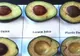 Cum poţi păstra avocado proaspăt pentru mai mult timp
