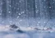 Prognoza meteo. Cum va fi vremea sâmbătă și duminică