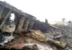 Avion prăbuşit într-o zonă rezidenţială. Trei persoane au murit