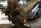 Vântul a făcut ravagii în municipiul Deva: maşini distruse, copaci prăbuşiţi