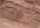 Descoperire impresionantă în Hunedoara: ritualul funebru al strămoşilor, decodificat de arheologi