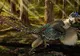 Au descoperit un dinozaur cu pene şi cinci picioare. Iată cum arată