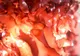 Bizar! S-au inventat algele cu gust de bacon