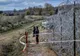 Ungaria ridică un gard de sârmă la frontiera cu Serbia. Parlamentul a votat luni înăsprirea azilului