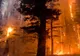 Devastatoare incendii de pădure în Croaţia, din cauza valului de căldură tropicală