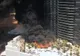 Imagini șocante! Incendiu de amploare la un hotel din Las Vegas!