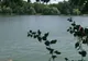 Fenomen șocant pe lacul Herăstrău, în Capitală. Ce au văzut bucureștenii în ultimele zile